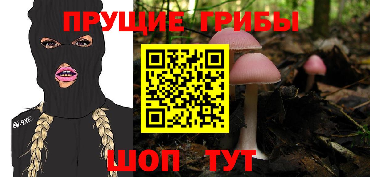Псилоцибиновые грибы Cubensis Рыбинск